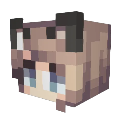 XJuanRocksX Minecraft avatar head, 3D render