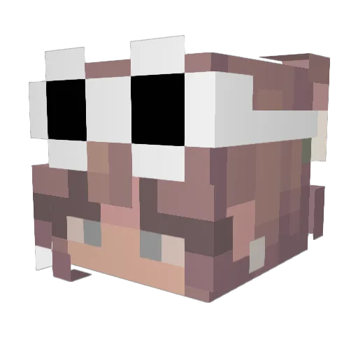 XJuultje02 Minecraft avatar head, 3D render