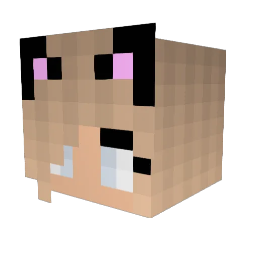 XLightningBolt1X Minecraft avatar head, 3D render