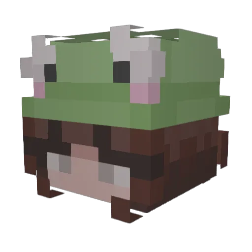 XLouSX Minecraft avatar head, 3D render