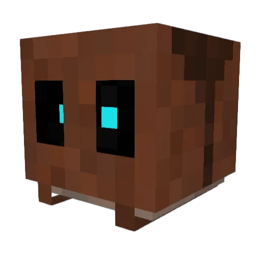 XMASSUCKS Minecraft avatar head, 3D render