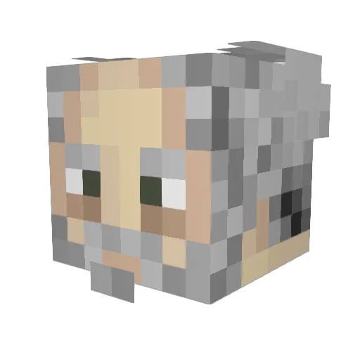 XMJD345 Minecraft avatar head, 3D render