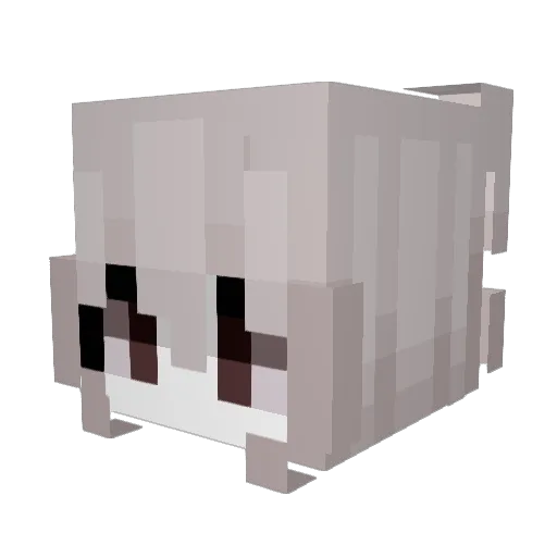 XMuszynaX Minecraft avatar head, 3D render