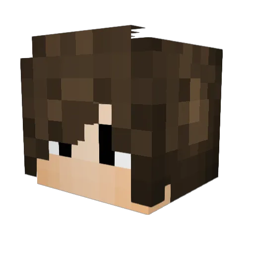 XNVSV_ Minecraft avatar head, 3D render