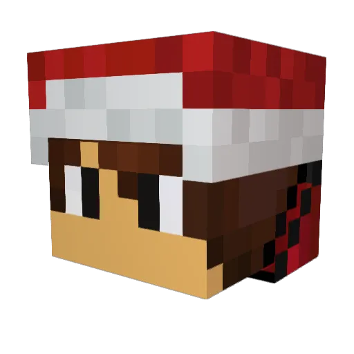 XNewWoX Minecraft avatar head, 3D render