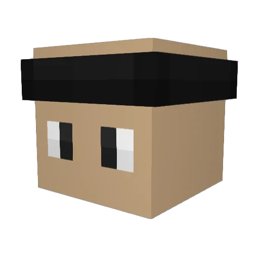 XNinja1005 Minecraft avatar head, 3D render