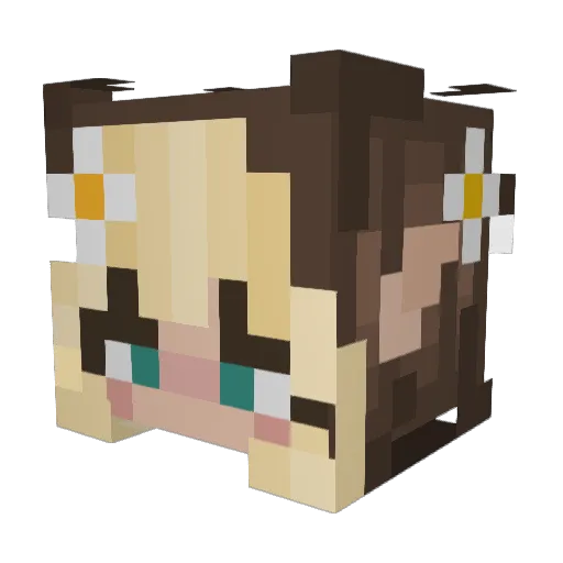 XNot_AlexX Minecraft avatar head, 3D render