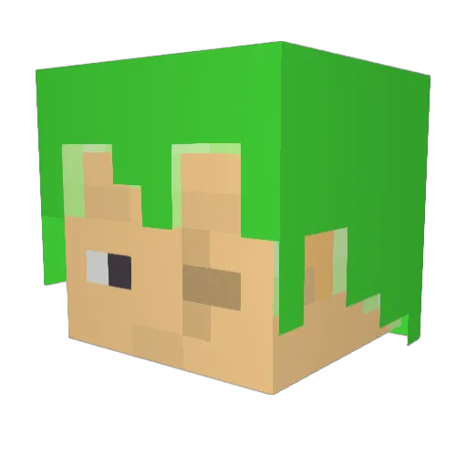 XOXOz Minecraft avatar head, 3D render