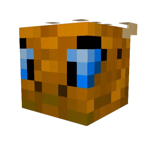 XO_11 Minecraft avatar head, 3D render