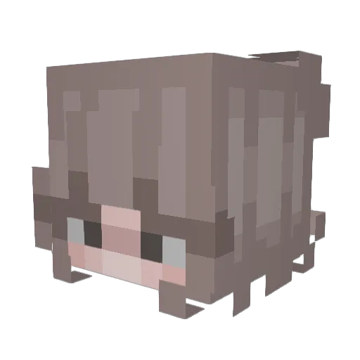XO_SimplyEmily Minecraft avatar head, 3D render