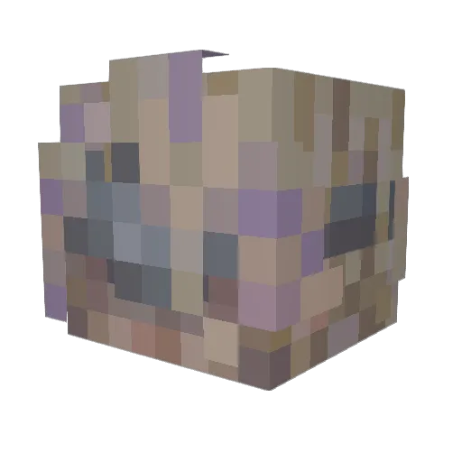 XOceanManxX Minecraft avatar head, 3D render