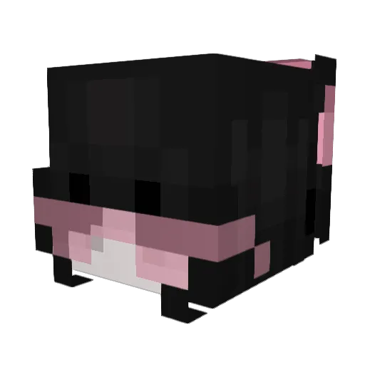 XOreankaX Minecraft avatar head, 3D render