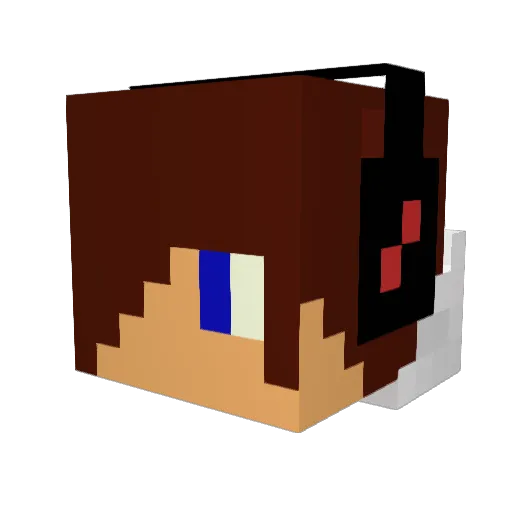 XPROTOM Minecraft avatar head, 3D render