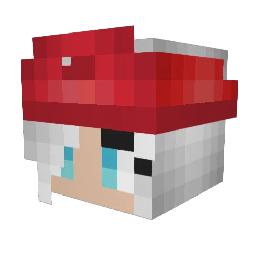 XP_Waste Minecraft avatar head, 3D render
