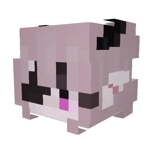 XPali Minecraft avatar head, 3D render