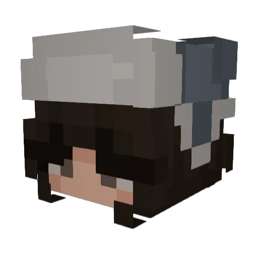XPecto Minecraft avatar head, 3D render