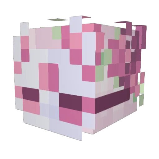 XPhoenixLoveX Minecraft avatar head, 3D render