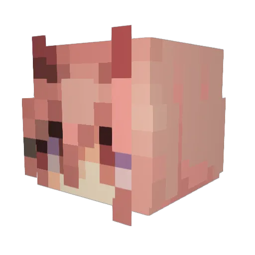 XPonyXP Minecraft avatar head, 3D render