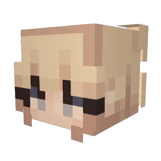 XPrincessLuvviX Minecraft avatar head, 3D render