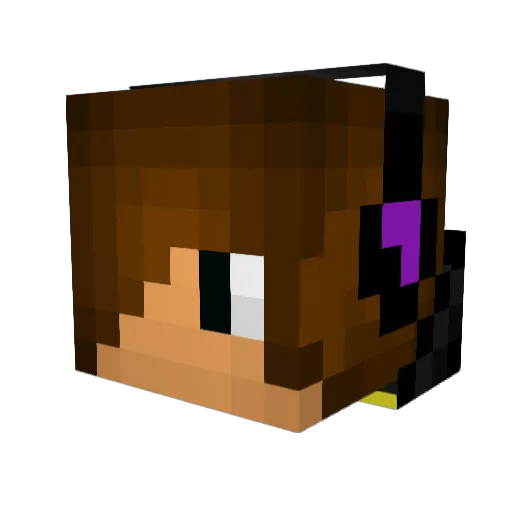 XPun1sherX Minecraft avatar head, 3D render