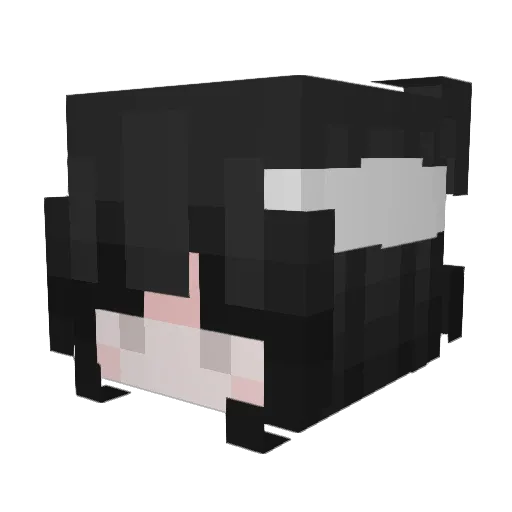 XQuarq Minecraft avatar head, 3D render