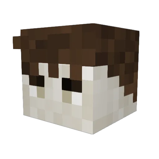 XRAIDERX_100 Minecraft avatar head, 3D render