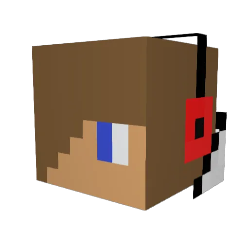 XRAY301 Minecraft avatar head, 3D render