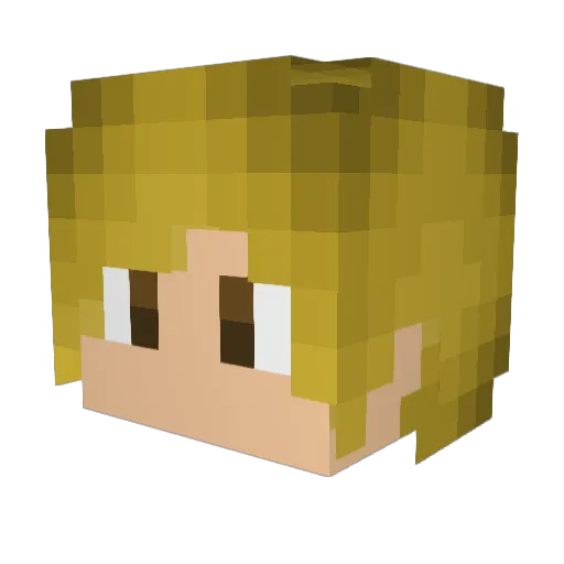XREEDCARRO Minecraft avatar head, 3D render