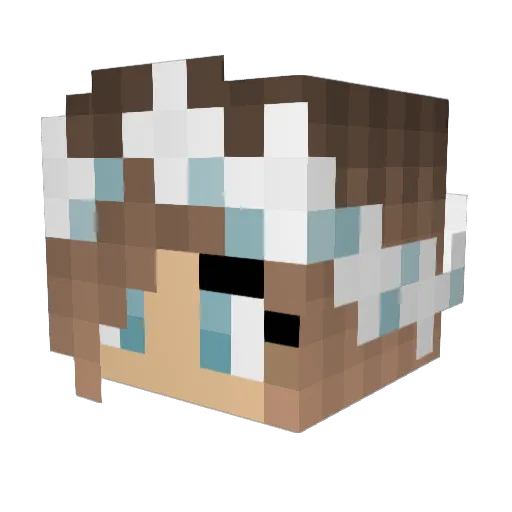 XRaeXRaeX111 Minecraft avatar head, 3D render