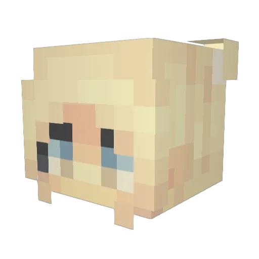 XRagingEmbersX Minecraft avatar head, 3D render