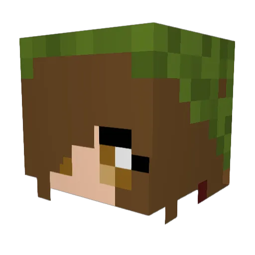 XRainbowJessX Minecraft avatar head, 3D render