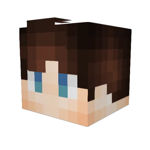 XReevesGemesX Minecraft avatar head, 3D render