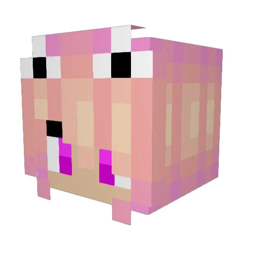 XReterX Minecraft avatar head, 3D render