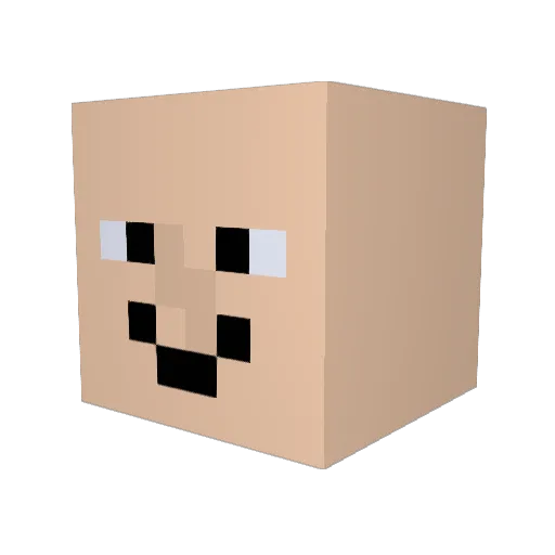 XRetroX16 Minecraft avatar head, 3D render