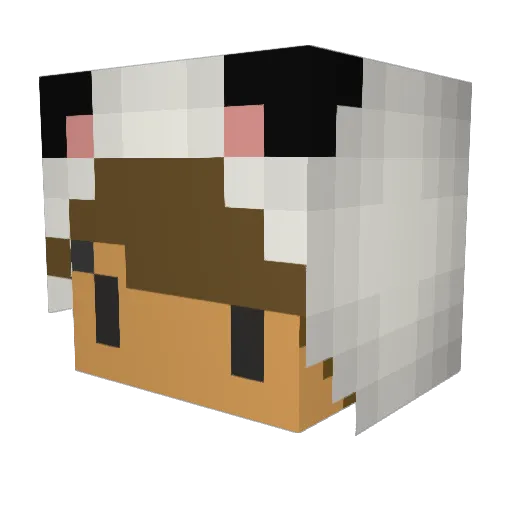 XSAMALLAMAX Minecraft avatar head, 3D render