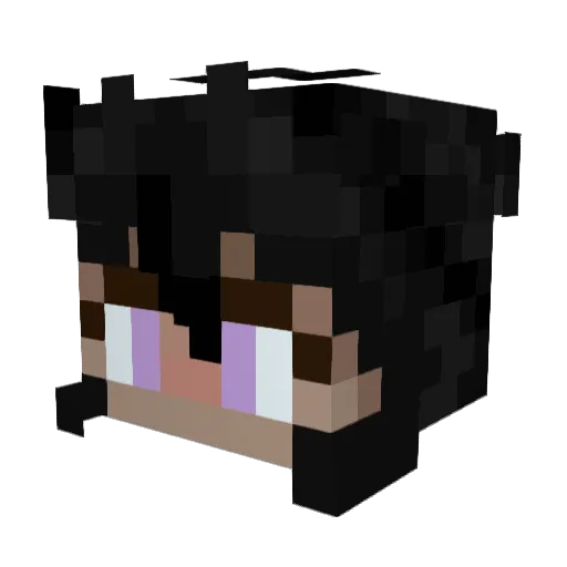 XSError Minecraft avatar head, 3D render