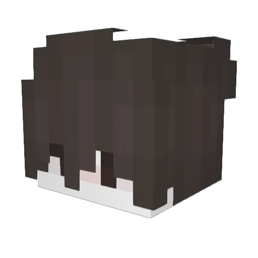 XSLYPNOS Minecraft avatar head, 3D render