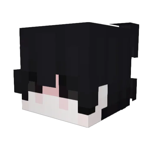 XS_BLACKZZ Minecraft avatar head, 3D render