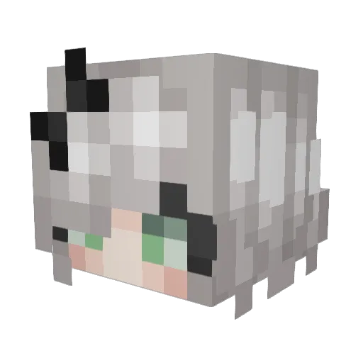XSalem123 Minecraft avatar head, 3D render