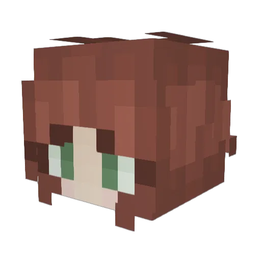 XSammyBeanX Minecraft avatar head, 3D render