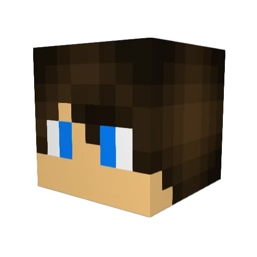 XSaruX Minecraft avatar head, 3D render