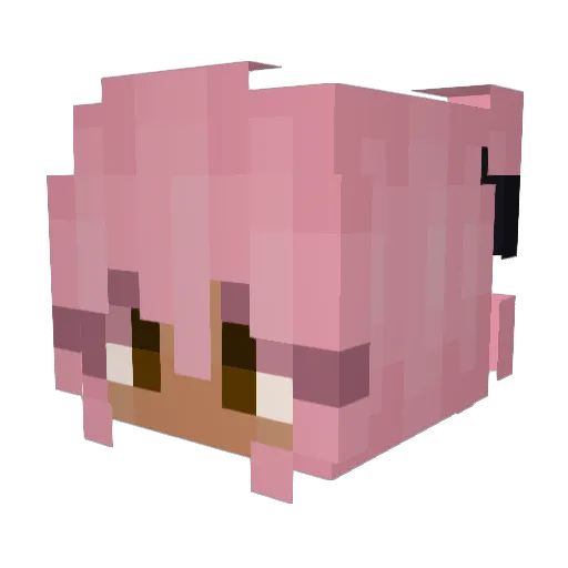 XScar_x2 Minecraft avatar head, 3D render