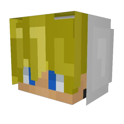 XShadow220 Minecraft avatar head, 3D render