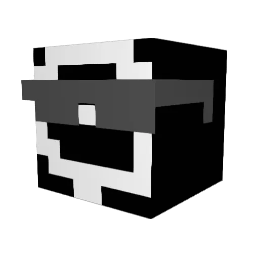 XShadowXSlayerX Minecraft avatar head, 3D render