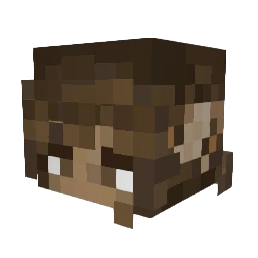 Minecraft-Avatar von XSmolGremlin: Kopf als 3D-Render
