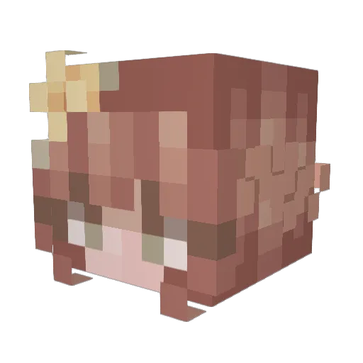 XSoundShellX Minecraft avatar head, 3D render