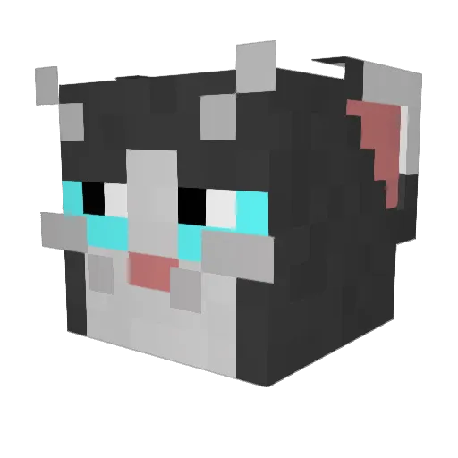 XSushiDemonX Minecraft avatar head, 3D render
