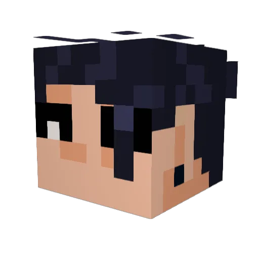 XSweetgamer5 Minecraft avatar head, 3D render