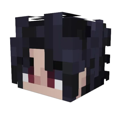 XT0G0X Minecraft avatar head, 3D render