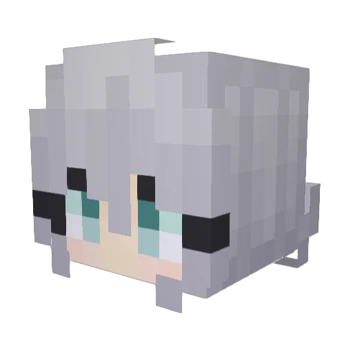 XTHERKPYT64X Minecraft avatar head, 3D render